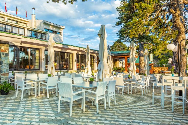 TROODOS фото 4