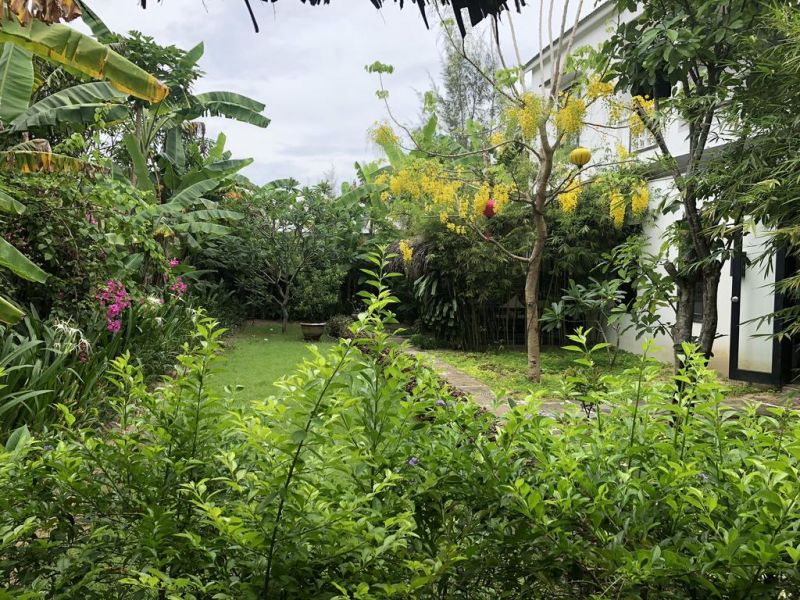 AN BANG GARDEN BEACH HOMESTAY фото 3