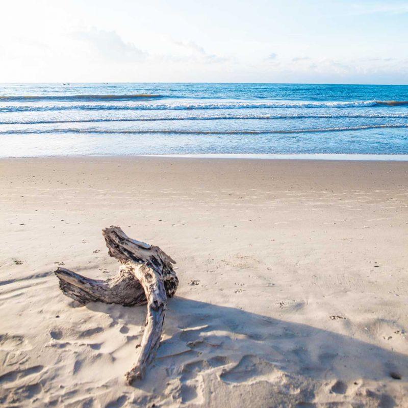 ANOASIS BEACH RESORT фото 3