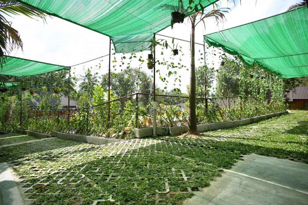 DENDI BUNGALOW фото 6