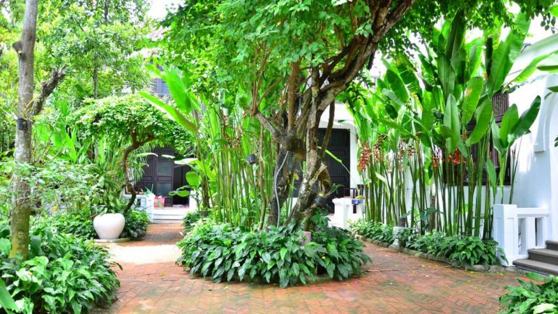 HOI AN ANCIENT HOUSE RESORT  фото 6