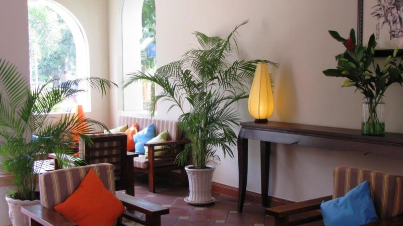 LE JARDIN DES THES фото 4