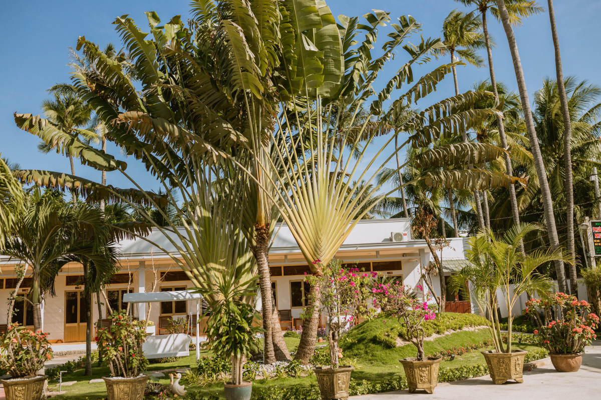 PHUONG NHUNG HOTEL