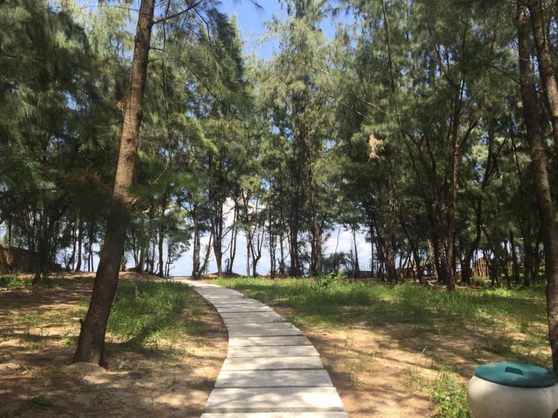 SOL AN BANG HOMESTAY BEACH RESORT фото 3