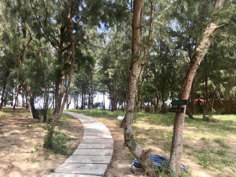 SOL AN BANG HOMESTAY BEACH RESORT фото 4