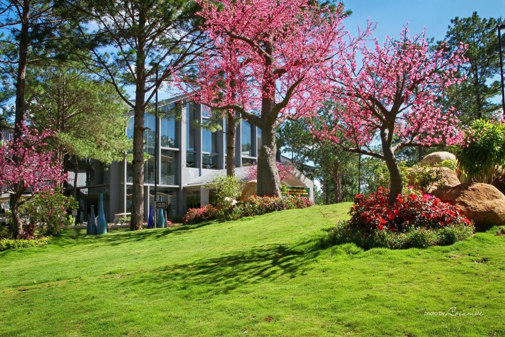 TERRACOTTA HOTEL & RESORT DALAT 