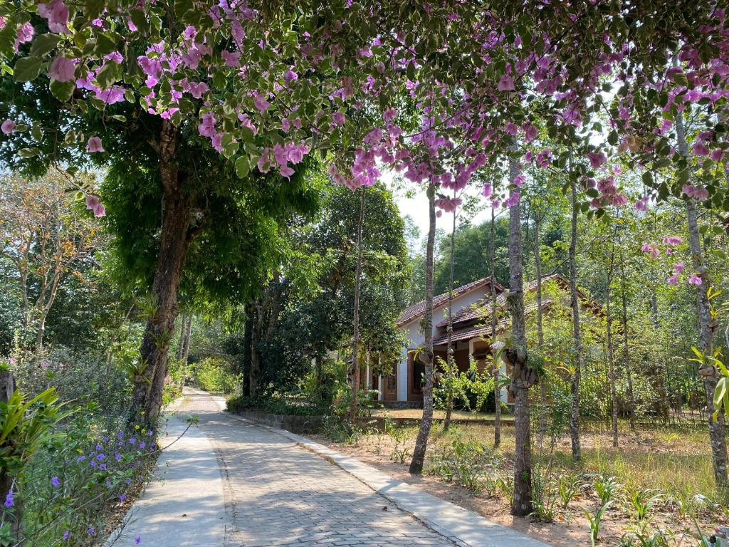 THE GARDEN HOUSE фото 2