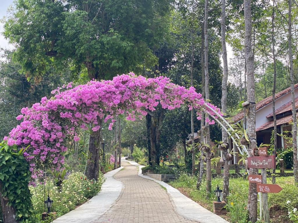 THE GARDEN HOUSE фото 4