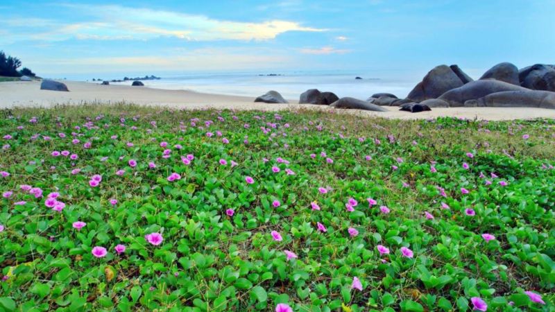 THUY DUONG RESORT фото 7