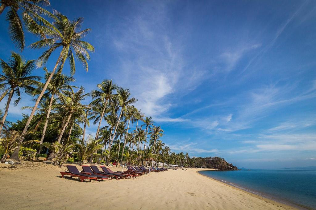 COCO PALM BEACH RESORT фото 6