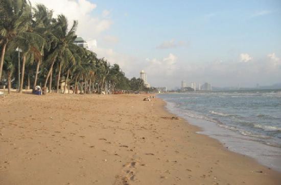 EURO ASIA JOMTIEN фото 6