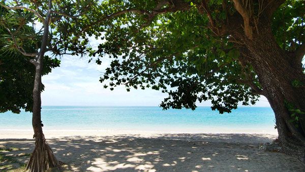 LANTA RESORT фото 3