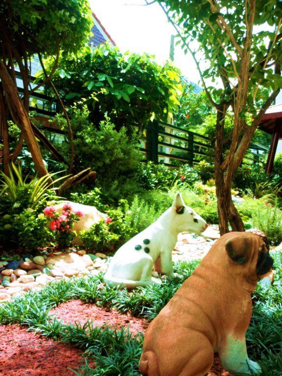 WHITE LODGE фото 4
