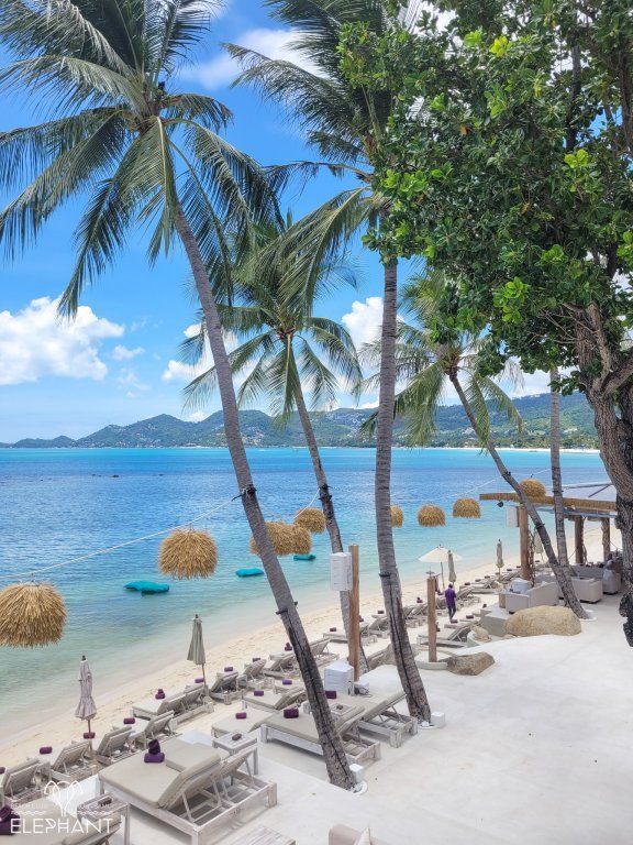 ELEPHANT BEACH CLUB RESORT фото 2