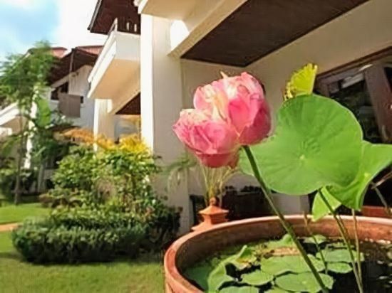 THE GARDENS фото 8