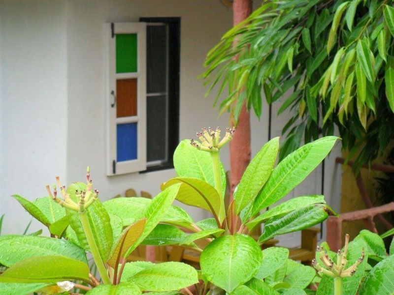 KHAOLAK BANANA BUNGALOW фото 6