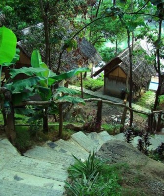 PP INGPHU VIEWPOINT