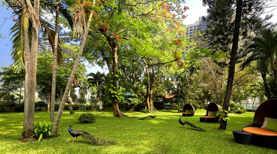 ROYAL ORCHID SHERATON HOTEL & TOWERS