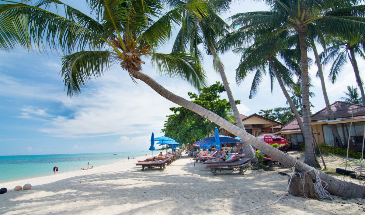 SAMUI LAGUNA фото 2
