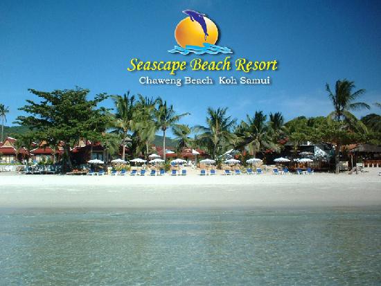 SEASCAPE BEACH RESORT фото 7