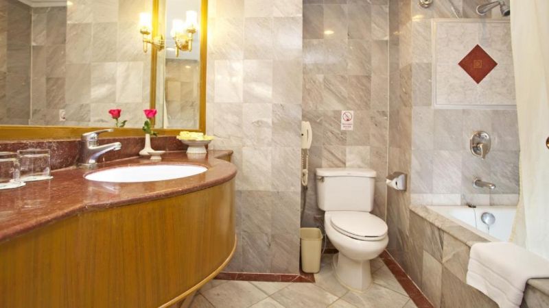 WINDSOR SUITES фото 6