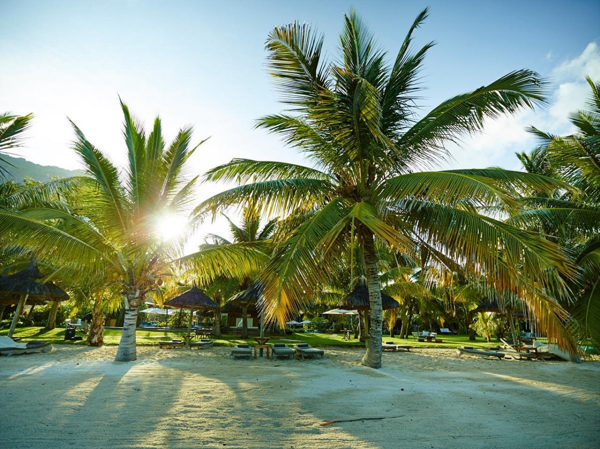 LUX LE MORNE фото 4