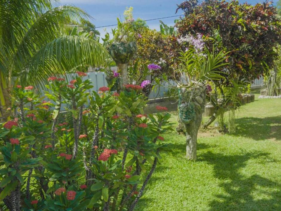 VILLA ELODIA фото 7