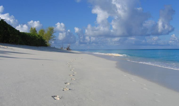 BIRD ISLAND LODGE фото 6