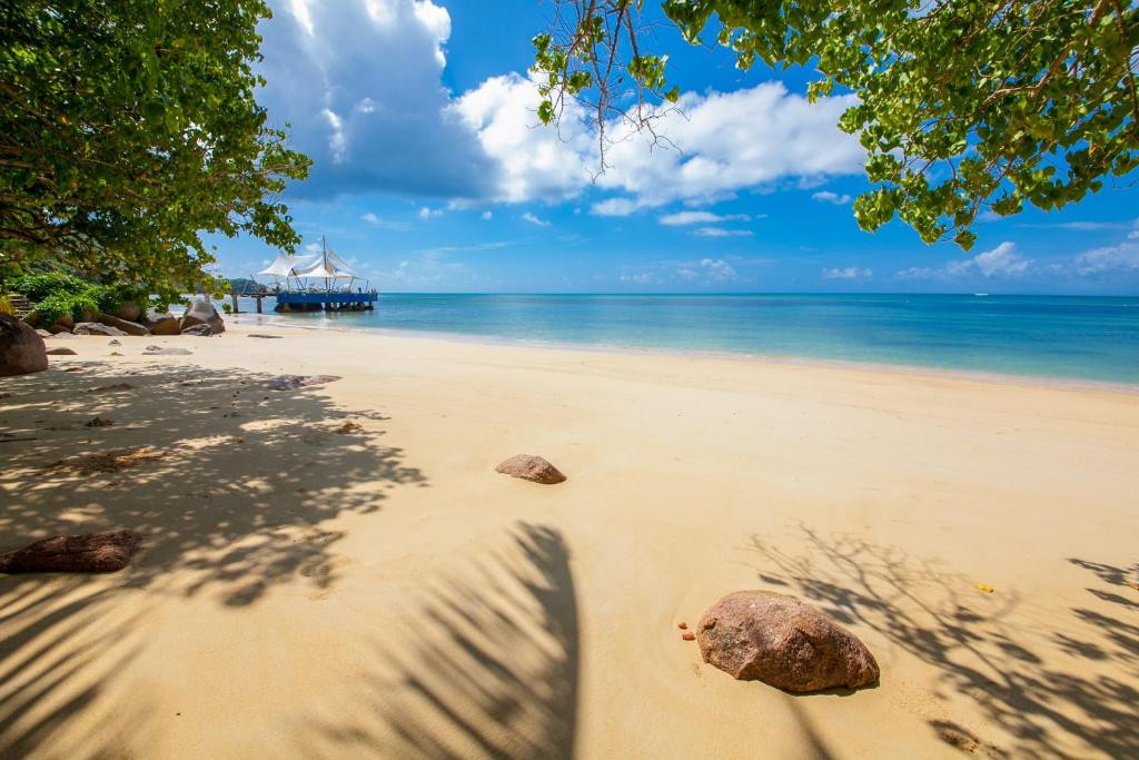 COCO DE MER & BLACK PARROT SUITES фото 6