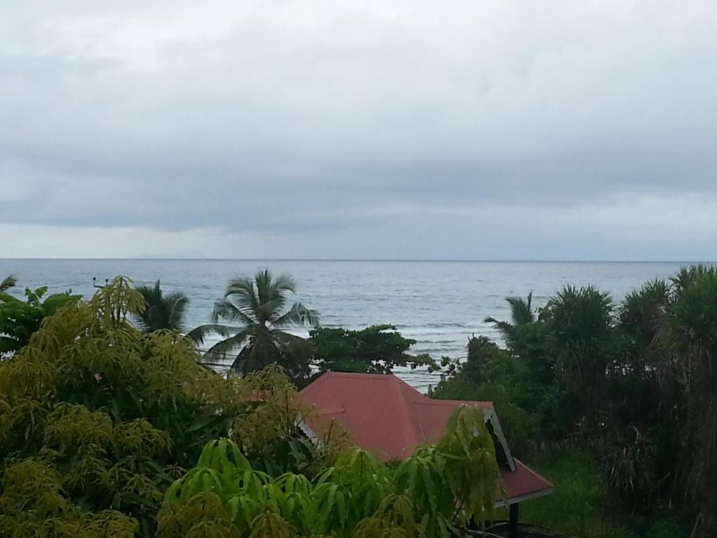 DIVERS LODGE GUEST HOUSE фото 8
