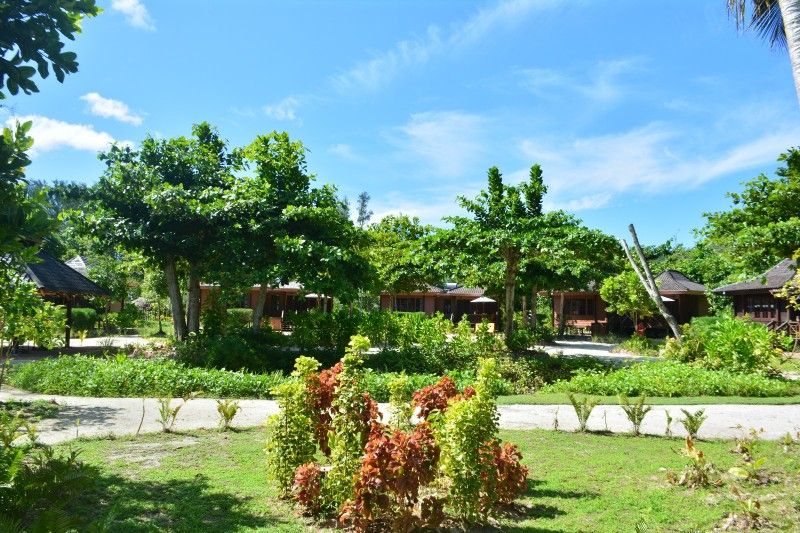 HELICONIA GROVE фото 3
