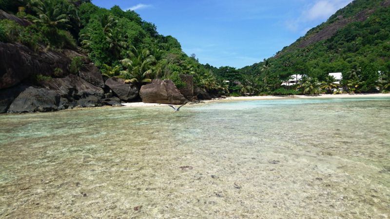 LA BELLE TORTUE LODGE фото 2