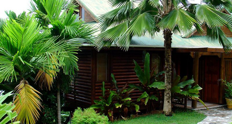 LE JARDIN DES PALMES фото 2