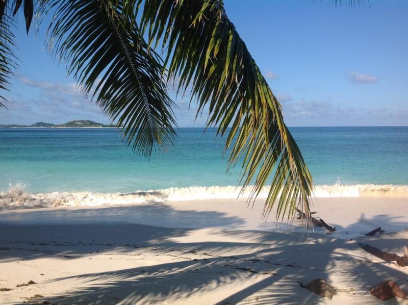 VILLA COCO BEACH фото 4
