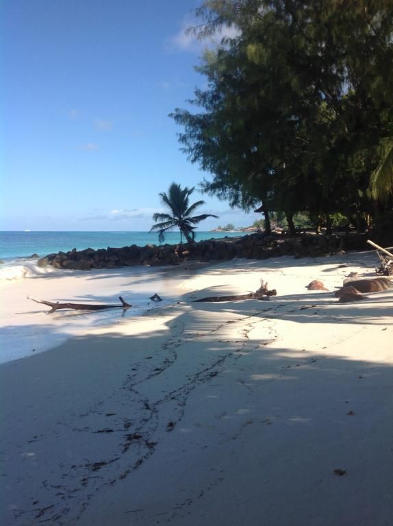 VILLA COCO BEACH фото 7