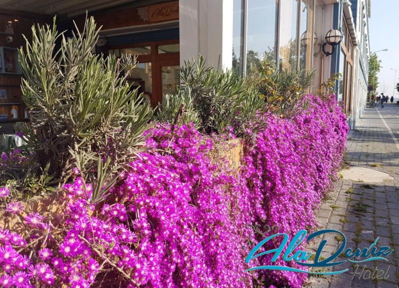 ALADENIZ HOTEL фото 7