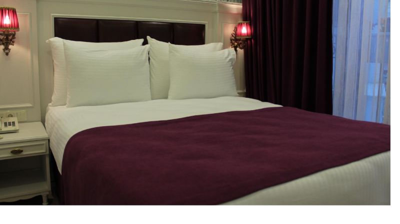 ALBINAS HOTEL фото 2