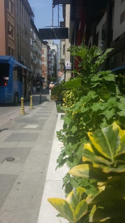 AYYILDIZLAR HOTEL фото 7