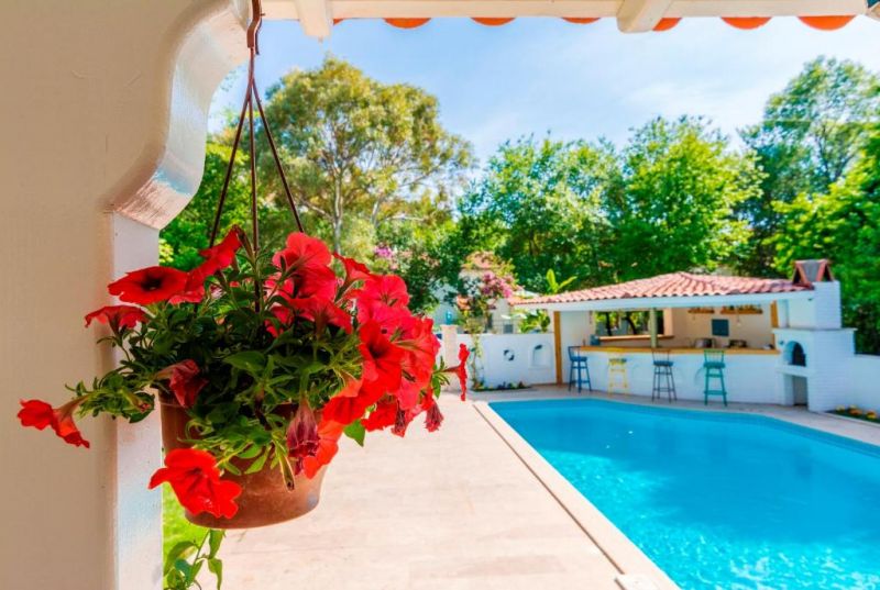 CALYPSO COZY SUITES фото 4