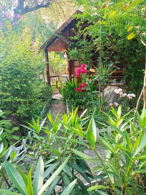 CANARIO BUNGALOWS фото 5