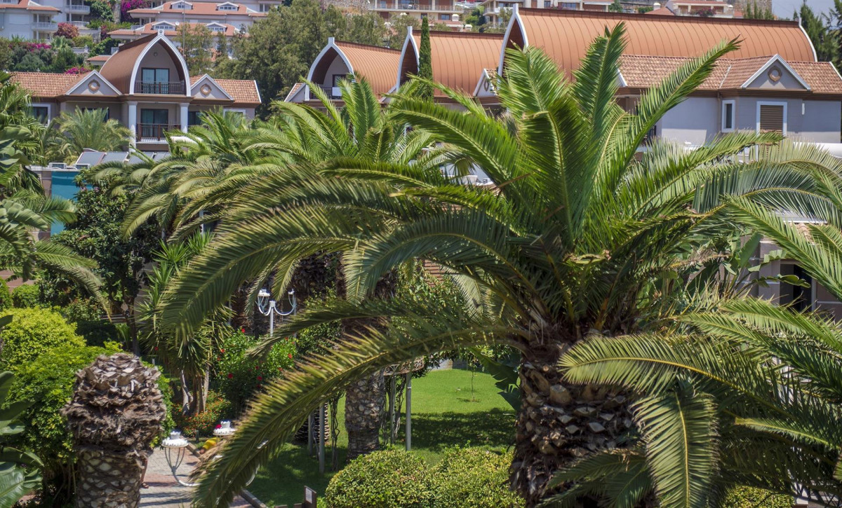 QUATTRO FAMILY CLUB DEM HOTEL HV-1 фото 3