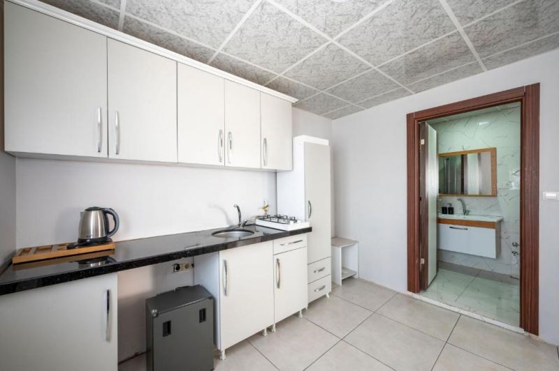 DEDEM BOUTIQUE HOTEL  фото 3