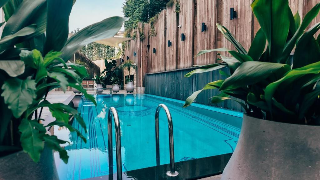 DOSSO DOSSI HOTELS GOLDEN HORN фото 2