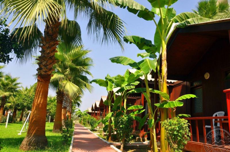 DREAM PARK BUNGALOW HOTEL фото 4