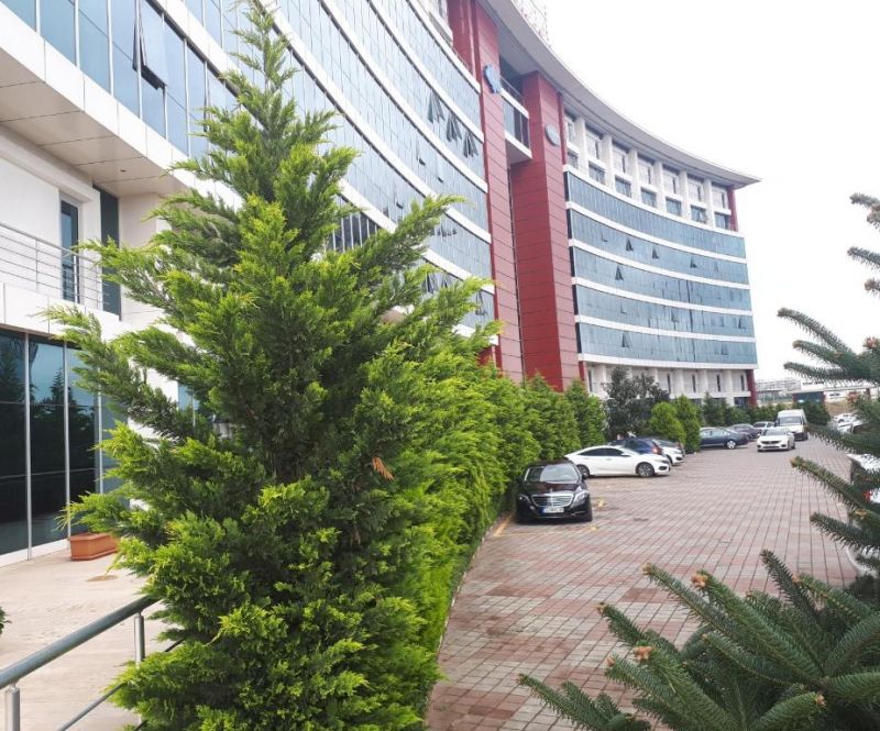 EKINCI RESIDENCE фото 2