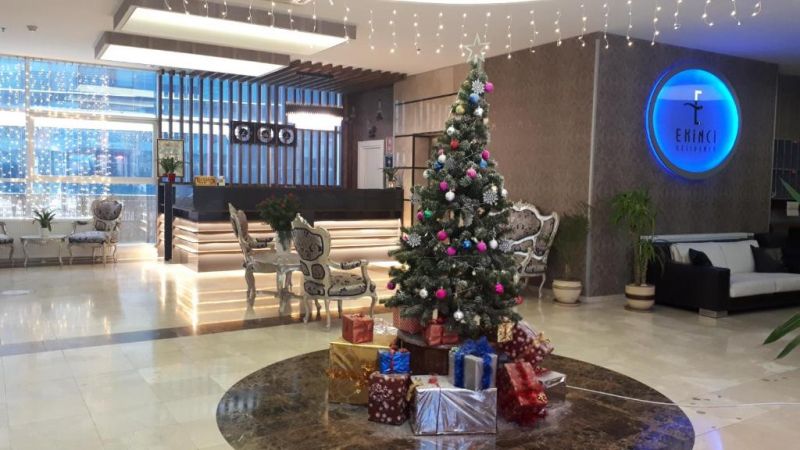 EKINCI RESIDENCE фото 3