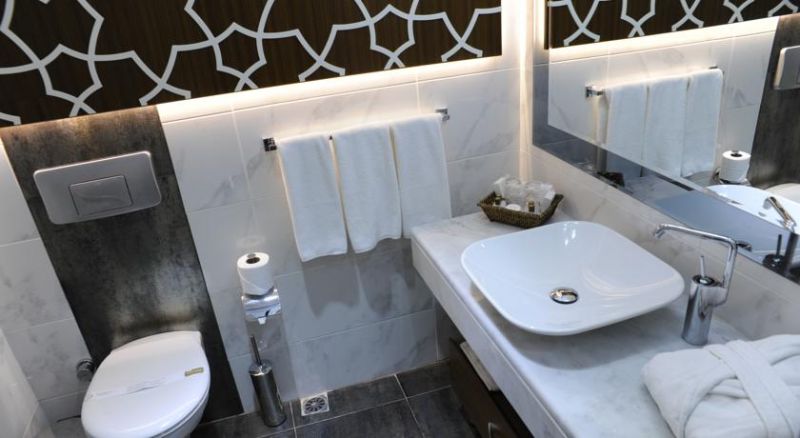 GRAND STAR HOTEL BOSPHORUS фото 7