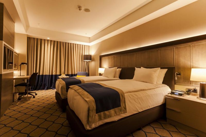 HOLIDAY INN KAYSERI фото 3