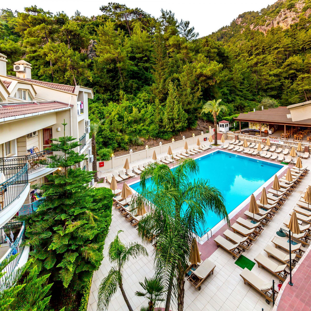 JULIAN FOREST SUITES фото 5