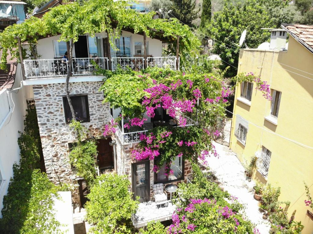 LEMON VILLA